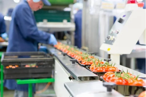ISO Certifications Food Service Industry